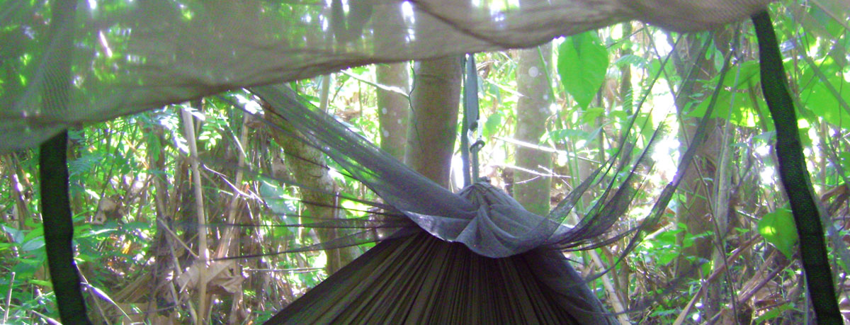 Camping Hängematte mit Moskitonetz Dschungel Camping
