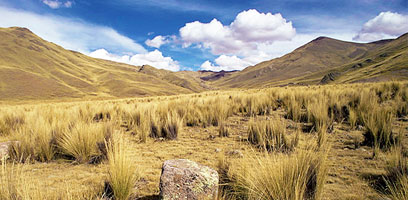 Hautes Plaines près de Puno au Pérou
