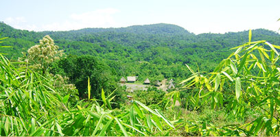 Huacaria Gemeinschaft nahe Pilcopata in Manu