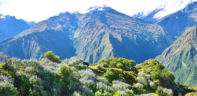 Panoramablick von Yanama in Richtung Vilcabamba